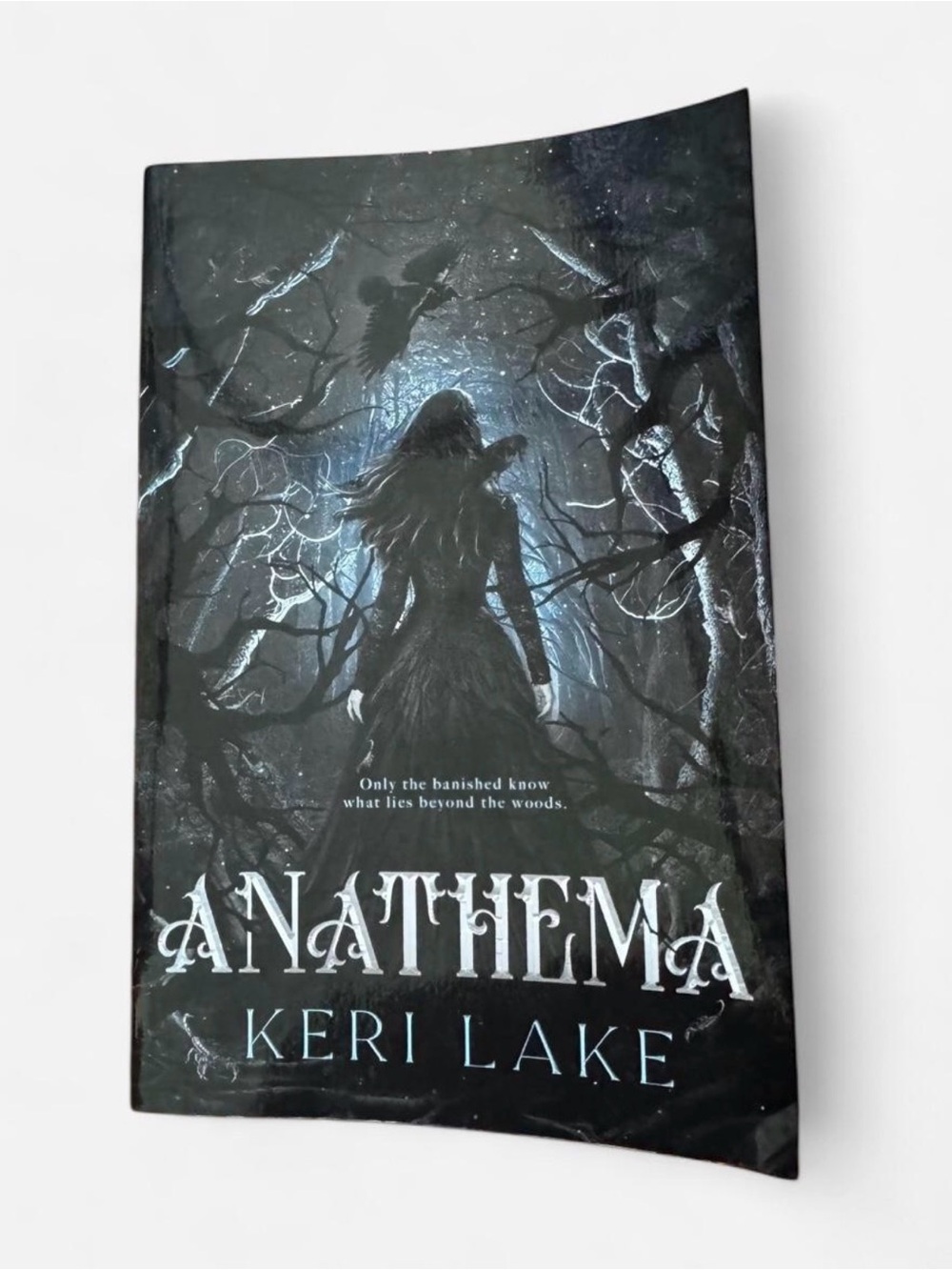 Anathema Hardcover-Style Dark Fantasy Wall Art (Black/Gray)